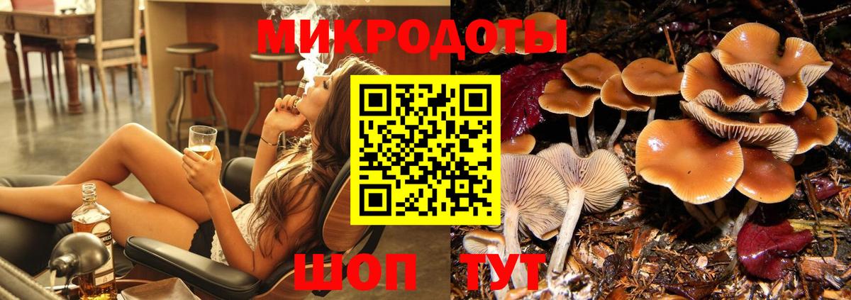 Галлюциногенные грибы GOLDEN TEACHER  Вход с VPN  Ртищево  Псилоцибиновые грибы Psilocybe 