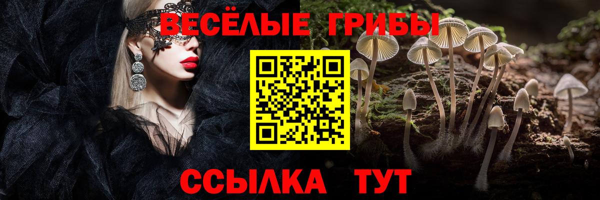 Псилоцибиновые грибы мухоморы Ртищево